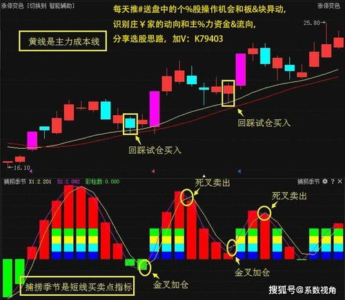 今日股市预测分析，把握市场脉搏，洞察投资先机