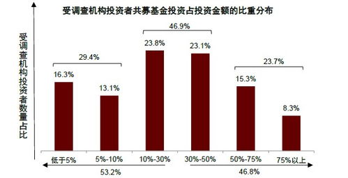 中金财富证券，中国资本市场的璀璨明珠