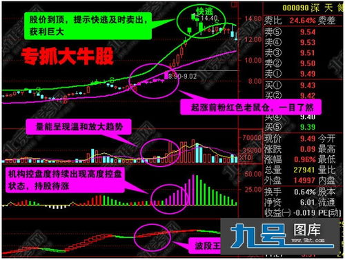 炒股软件指南针，股市新手的导航工具