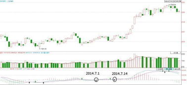 深度解析，600059——探寻股市中的稳健蓝筹力量