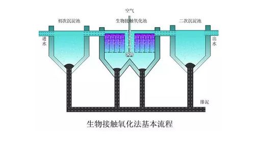 探索万能3D过滤器，技术革新与生活艺术的融合