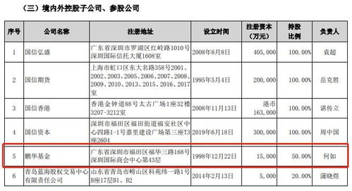 探索无限可能，深度解析鹏华创新未来基金的投资策略与前景