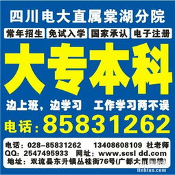 深入了解交钱就能上的大专学校，真实性、价值与教育选择