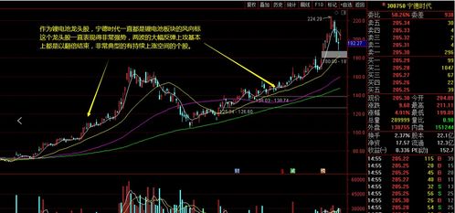 深度解析，哈空调股票投资攻略——从冷气到股市的稳健之旅