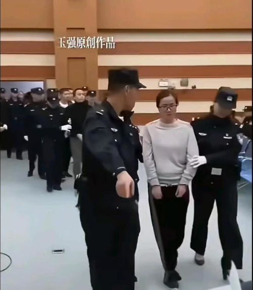 罗大美案三嫌疑人互相道歉的背后