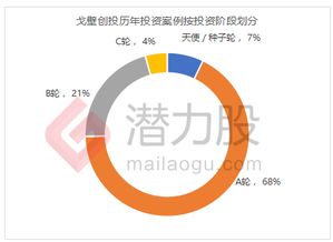 每股公积金，解锁公司财务秘密，投资决策的新视角