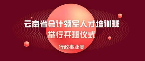 深入了解MPAcc学费，投资未来，开启会计职业新篇章