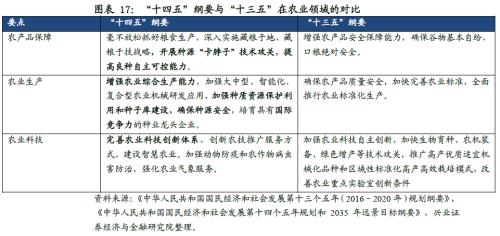 探秘绿色金矿，新农开发股票—农业未来的投资指南