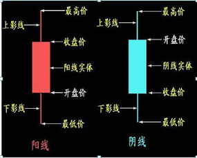 掌握市场脉搏，最新热门股票排名解析