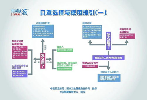 探索南京医药公司的稳健之路，深度解析与实用指南