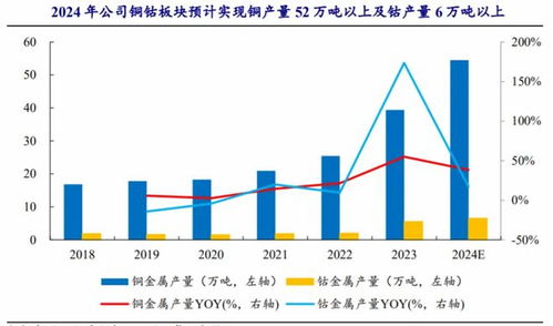 紫金矿业，股市中的金矿还是陷阱？一探究竟