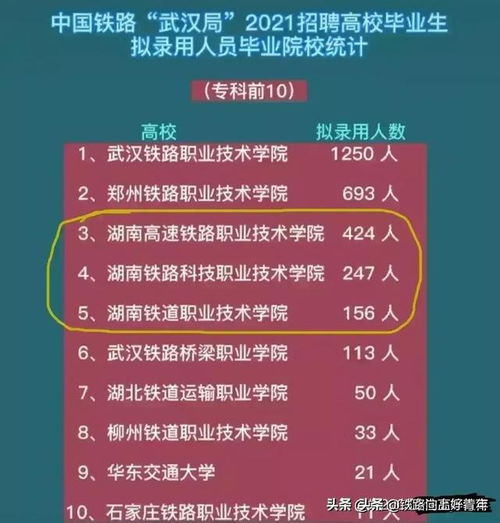 山东专科学校排名，教育实力与就业前景的深度解析