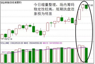 步步高股票投资攻略，深度解析与实战策略