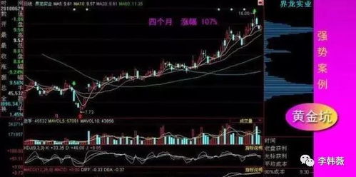 深入解析，大决策选股指标公式的奥秘与应用