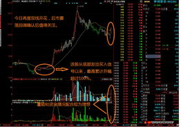 深入解析，大决策选股指标公式的奥秘与应用