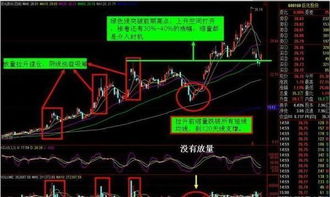 揭秘股票导师微信，投资路上的指南针还是陷阱？