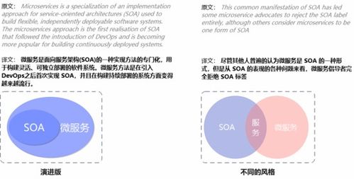 深入了解上汽金融，服务号码与客户支持