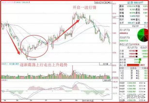 2023年财经股票推荐，精选投资策略与潜力股分析