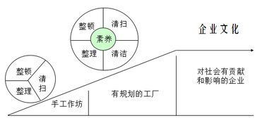 掌握财报分析三步法，深入洞察企业财务状况