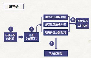 初级会计基本知识讲解，掌握财务世界的基础