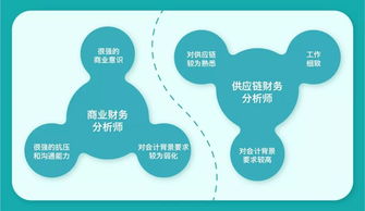 探索通信工程专业毕业生的公务员职业路径