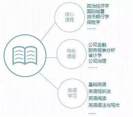 金融学专业课程全解析，打造你的金融知识体系