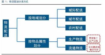 揭秘，十大财商培训机构的深度分析与比较