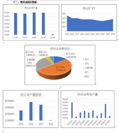 深入解析，海证期货的级别与市场地位