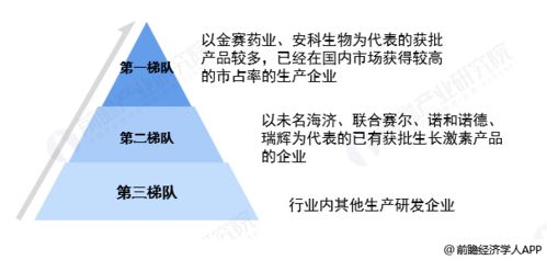 金融五大特征，理解现代经济的基石