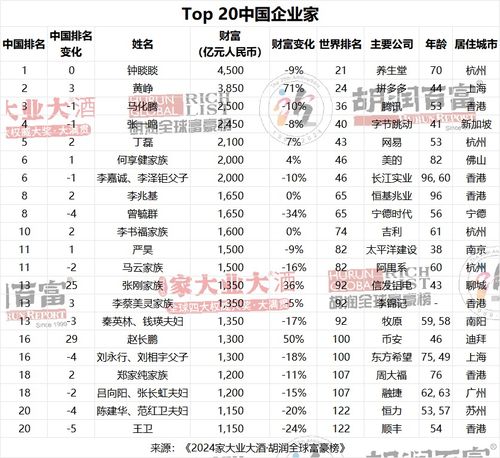 揭秘中国财富榜，2023年前十名富豪的财富帝国