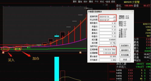 深度解析，300256—探索这只股票的投资魅力与策略