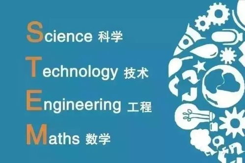 探索金融圈认可的全球顶尖大学，教育与职业成功的桥梁