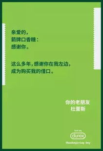 金融学毕业生的职业道路，无限可能与实用指南