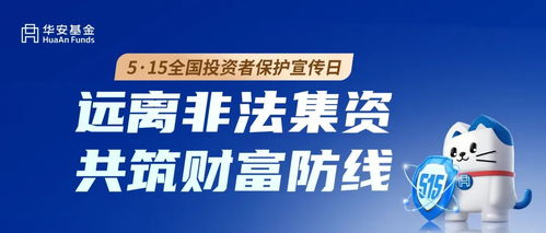 揭秘日收益投资平台，高回报背后的真相与风险