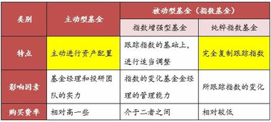 揭秘日收益投资平台，高回报背后的真相与风险