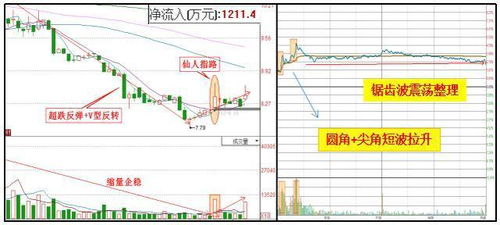 深入理解每日股票财经知识，投资与分析的实用指南