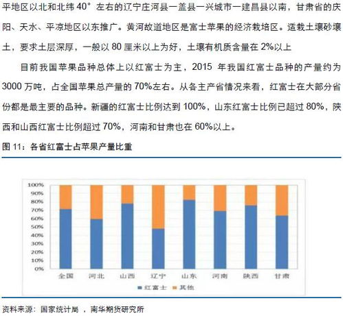 深入理解期货市场实时行情，你的投资指南