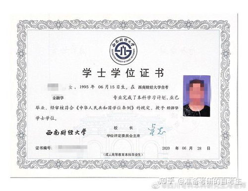 金融学学士学位英文，开启你的国际金融之旅