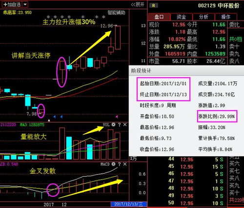 深度解析，探秘雪迪龙股票的投资攻略与智慧选择