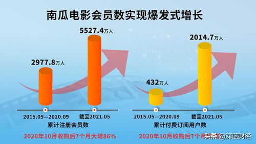 金融职业全解析，从银行家到风险分析师，探索金融行业的多元角色