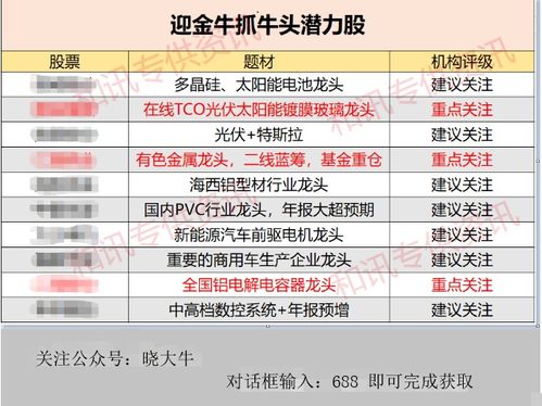 探索股市之星，股票排名第一的公司背后的秘密