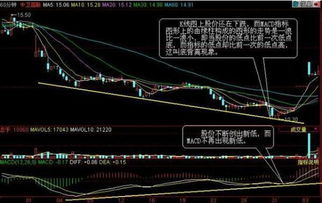 探索股市之星，股票排名第一的公司背后的秘密