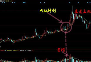 股票投资的六脉神剑，深入解读与实战应用