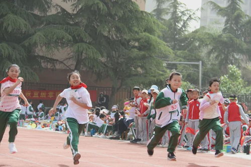 探索自我提升之路，大学自考的全面指南