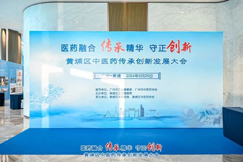 探索吉林财经大学的学术地位，排名、特色与未来展望